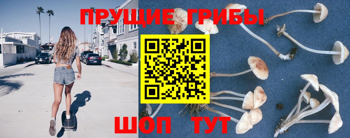 Галлюциногенные грибы мухоморы  Вход с VPN  Чайковский  Галлюциногенные грибы мицелий 
