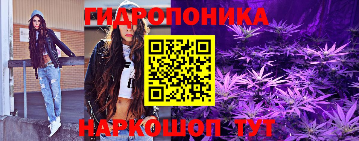 Бошки Шишки White Widow  Вход с VPN  Чайковский  МАРИХУАНА марихуана 